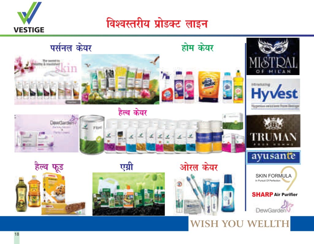 vestige products category hindi