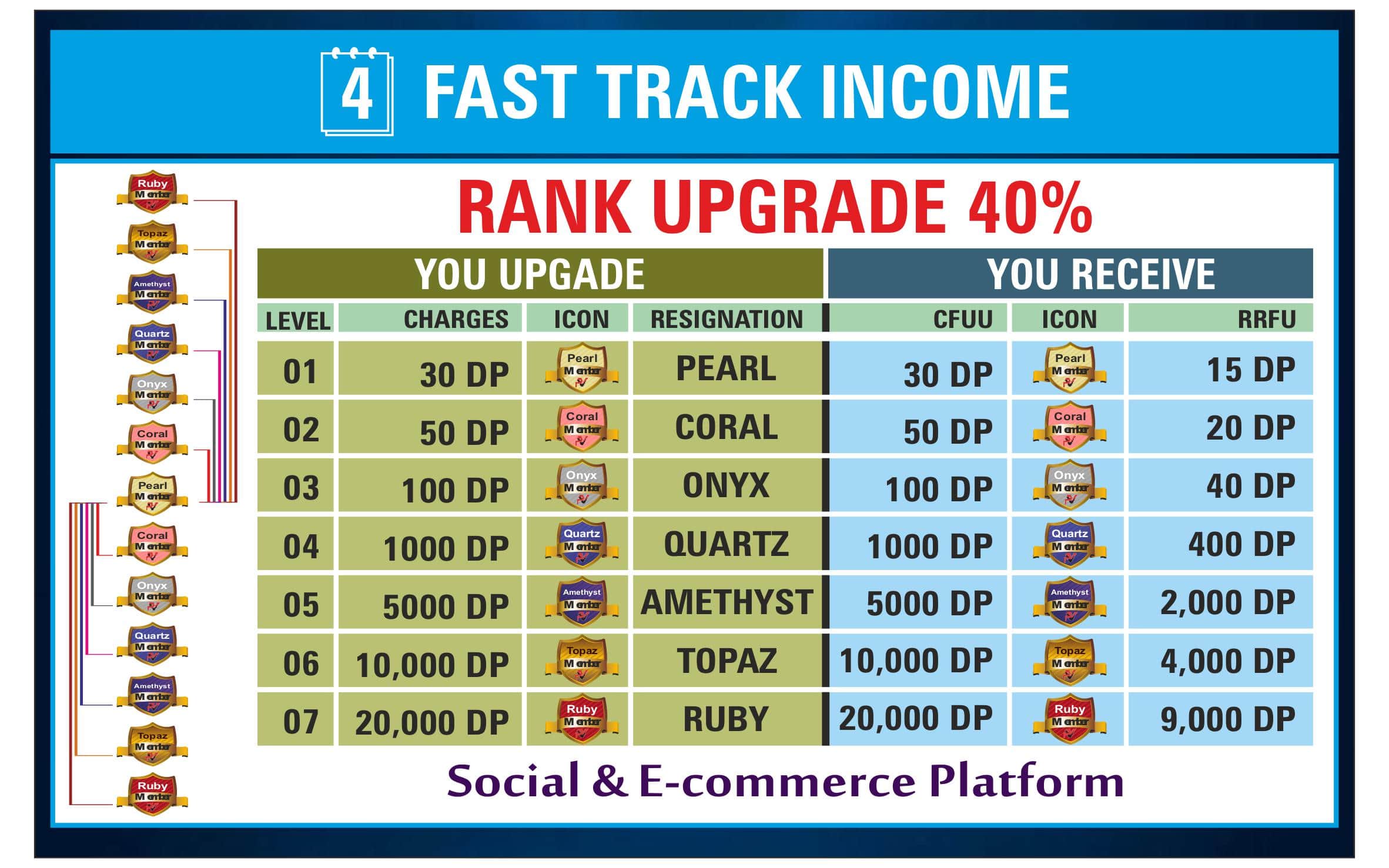 Pearlvine-International-Fast-Track-Income