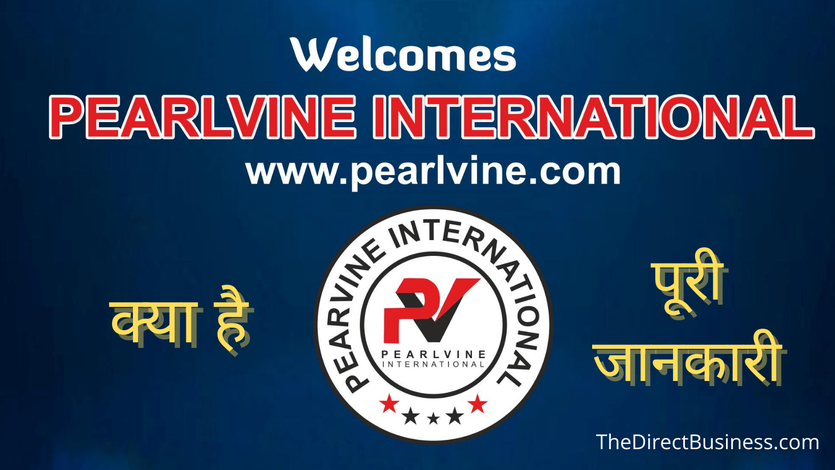pearlvine international business plan in hindi