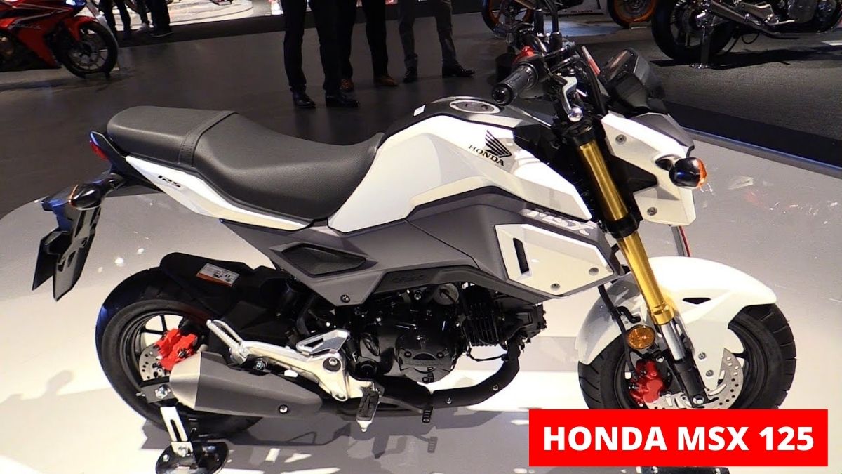 Honda MSX 125 Bike
